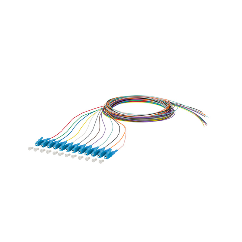 Fiber optique Pigdail （12 fibres）
