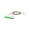 Fiber optique Pigdail （12 fibres）
