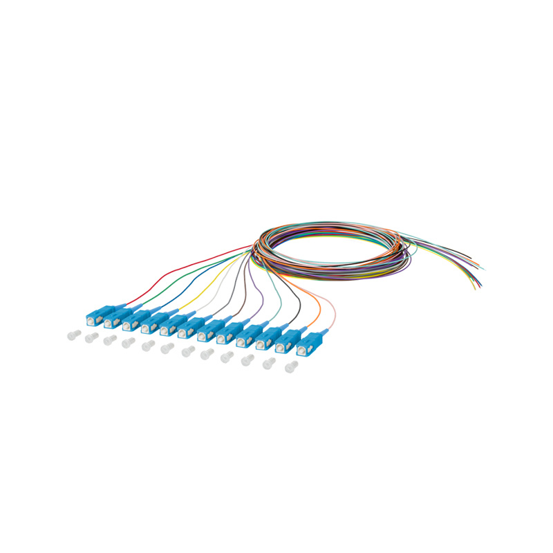 Fiber optique Pigdail （12 fibres）