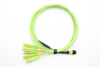 12f MPO / MTP-6 * DX LC Fanout Cable