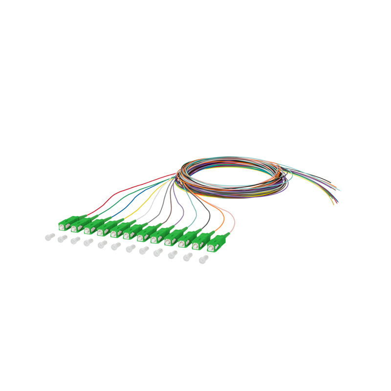 Fiber optique Pigdail （12 fibres）