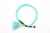 12f MPO / MTP-6 * DX LC Fanout Cable