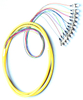 Fiber optique Pigdail （12 fibres）