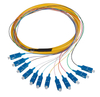 Fiber optique Pigdail （12 fibres）