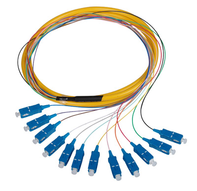 Fiber optique Pigdail （12 fibres）